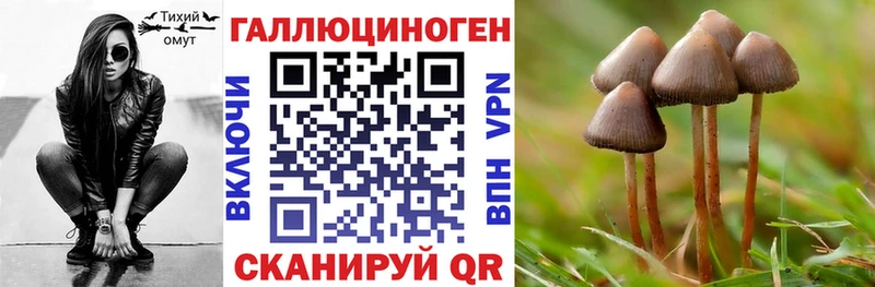 Галлюциногенные грибы Cubensis  OMG   Златоуст  цены  